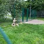 Casa Di Gardolo - Free Parking Апартаменты *